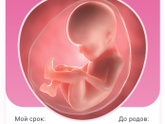 Новая неделька 🥰