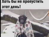 Люблю снежок пушистый в
