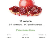 19 недель .