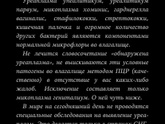 Антибиотик во время беременности.