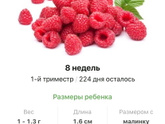 8 недель .
