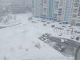 Погода. Обработка от клещей.