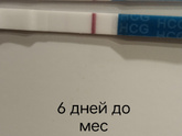 Динамика теста на Б🌸