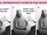 Фотография 2022-06-13 22:20:44