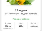 ??? 22 недельки ????