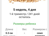 Девочки вопрос по сроку