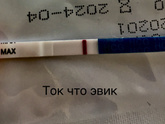11 дпо