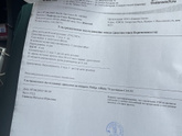 Беременность в матке