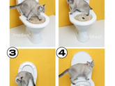 Приучение кота к унитазу
