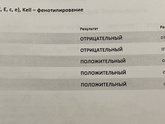 Добрый день!