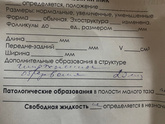 Кистозное жёлтое тело в Б цикл у кого было ?