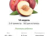 14 недель .