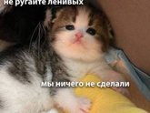 Как настроение?