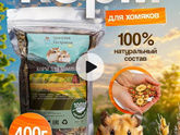 Чем кормить хомяка?😃