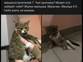 Что это за связь?