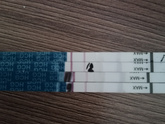 12 дпп