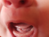 Зубы