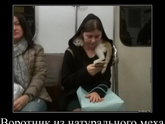 Где любят спать ваши питомцы?