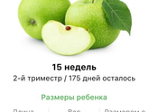 15 недель .