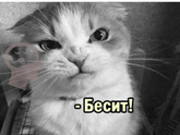 Фотография 2023-02-06 11:28:58