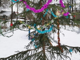 Наша колхозная ёлочка 🎄
