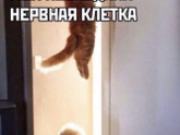 Мамы погодок,откройте секрет,как одновременно