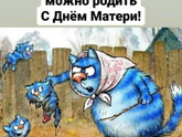 Фотография 2022-11-27 23:17:24