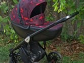 Anex sport или Carrello epica???