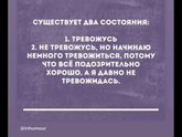 Кошка По поводу