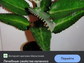 Электронный назальный аспиратор.