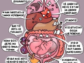 Состояние на 36 неделе