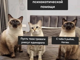 Кризиз или что это??