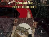 А ваши дети любят котов?