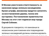 Убираете за собаками?