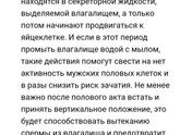 Какая вероятность забеременеть?