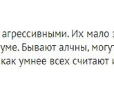 Тест: характер и день недели, в который вы родились