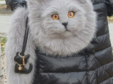 А вы купили бы?