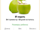 37 недель. 🥥🥥🥥