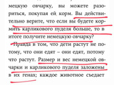 Режим дня и питания в 10-11 мес.