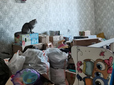 Официально сбежали из общаги?