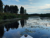 Покаталась на сапе 🤩