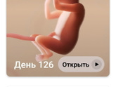 18 недель