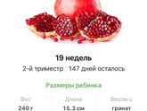 19 недель .
