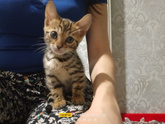 Нус с пополнением меня😻
