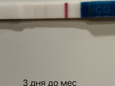 Динамика теста на Б🌸