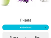7 недель