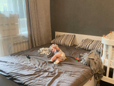 Защитные барьеры на кровать 🛑