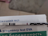 Утренний тест