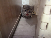 У нас пополнение)