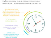 Ночной сон
